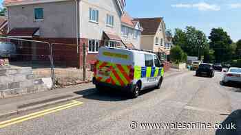 Latest Gorseinon murder investigation update as police make more arrests