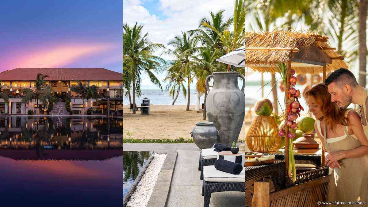 Perché tutti parlano dello Sri Lanka: la guida al viaggio tra mare, templi, piantagioni e safari nella natura dell’ottava meraviglia del mondo moderno