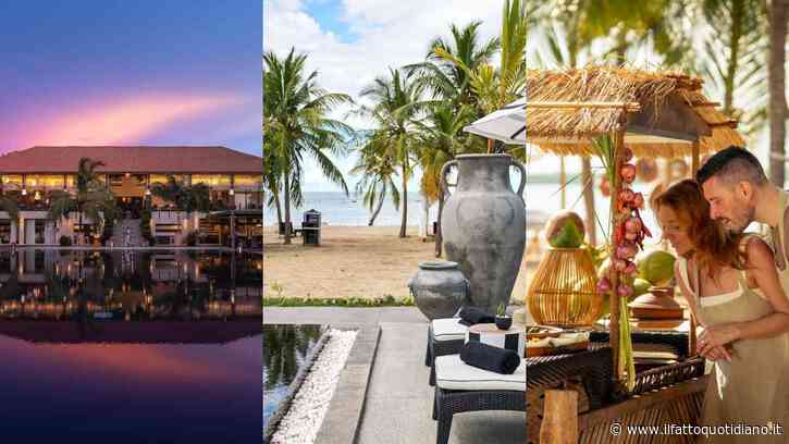 Perché tutti parlano dello Sri Lanka: la guida al viaggio tra mare, templi, piantagioni e safari nella natura dell’ottava meraviglia del mondo moderno