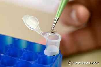 2 mosquito traps in San Marcos test positive for West Nile Virus
