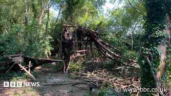 Treehouse built to help boy's anxiety demolished