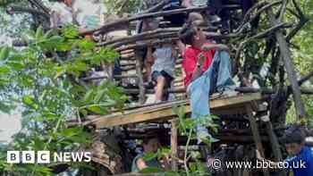 Boy's treehouse to be torn down over health and safety issues