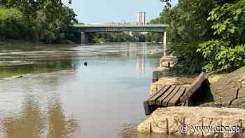 2 rescued from Assiniboine River after high water brings danger, delays water bus service