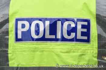 ‘Predator’ caught ‘red-handed’ trying to rape woman near Buckingham Palace let go by police