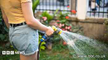 What does a hosepipe ban mean for the UK's driest region?