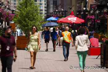 Applications for federal public service jobs drop by almost 30 per cent