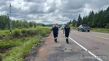 Procession underway to bring P.E.I. paramedics who died in N.B. crash home