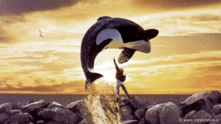 Anuncian remake de la clásica película "Liberen a Willy"