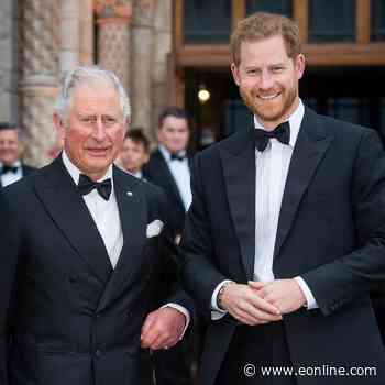Prince Harry's Kids Meet With King Charles for First Time in 4 Years