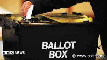 A bin, two foxes and a mystic: the candidates fighting Clacton