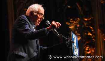 CNN pundit calls Bernie Sanders 'establishment'