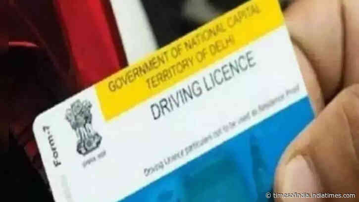 DL applications, RC updates among 100 transport services available online
