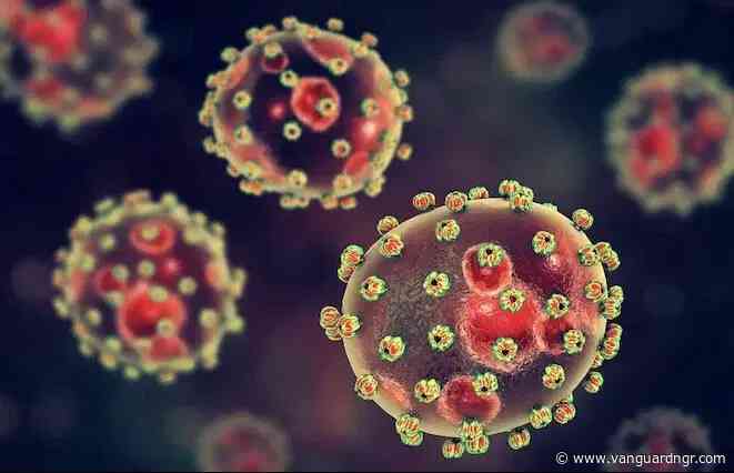 Lassa fever surges as Nigeria records 66 cases, 7 deaths in 3 weeks