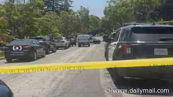Man and woman found dead in suspected murder-suicide at stunning $3.2m LA home