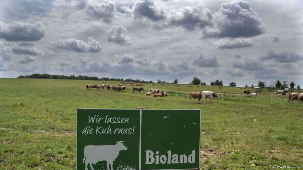 Stillstand beim Bienen-Volksbegehren: Initiatoren sind frustriert