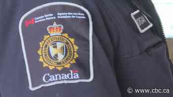 Man gets conditional sentence for Sask.-based immigration scam