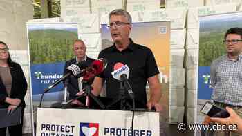 Ontario government investing over $250,000 to advance lithium processing in northwestern Ontario