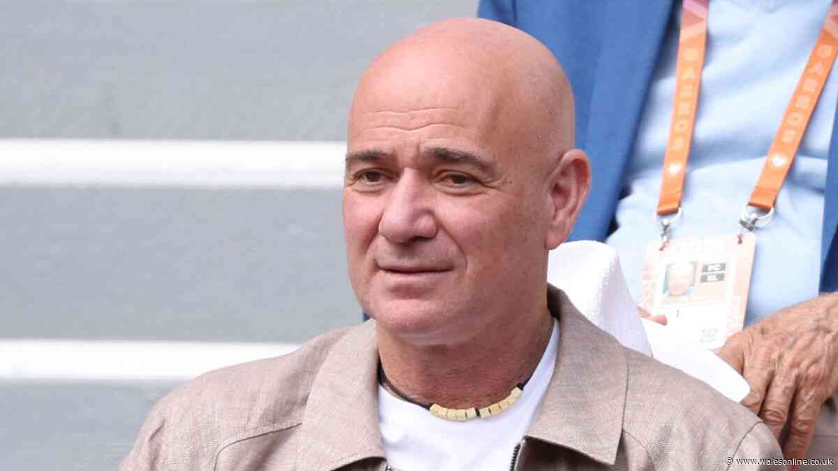 Andre Agassi plea sent as Wimbledon fans divided on BBC coverage