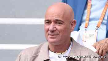 Andre Agassi plea sent as Wimbledon fans divided on BBC coverage