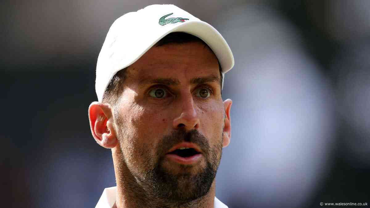 Novak Djokovic makes retirement statement after losing Wimbledon semi-final