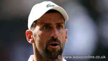 Novak Djokovic makes retirement statement after losing Wimbledon semi-final