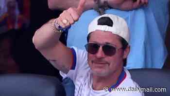 Brad Pitt, Penelope Cruz and Javier Bardem lead star-studded LA crowd for Spain's World Cup quarter-final with Belgium