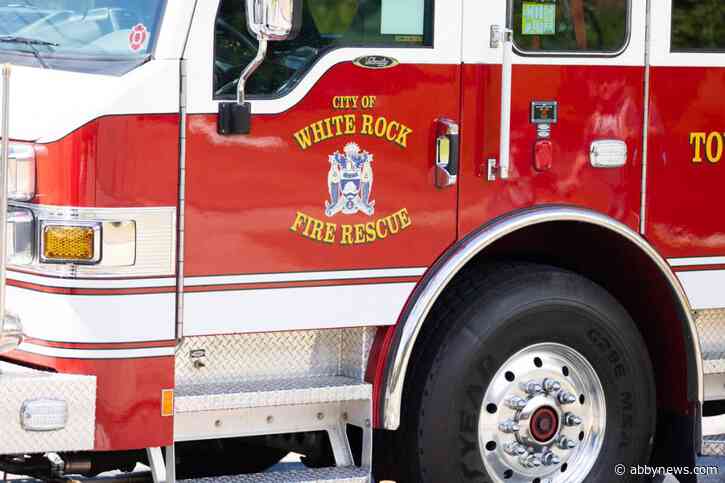Free bird: White Rock firefighters rescue baby seagull from rooftop