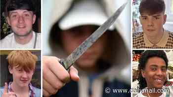 Why CAN'T we stop this deadly trade in the tools of murder?