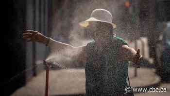 Orange-level heat warning issued for southern Manitoba ahead of hot, muggy weekend