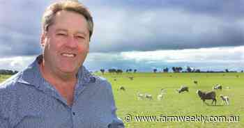 Treasurer under fire as prime farmland set to become a pine plantation
