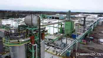 4 First Nations celebrate opening of new industrial park near Vanderhoof, B.C.