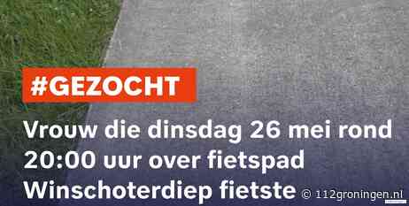 Getuigen gezocht bij Winschoterdiep: Driewielfietser(90) valt ongelukkig