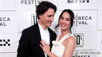 Cute or cringe? The internet weighs in on Trudeau's TikTok 'dancing debut'