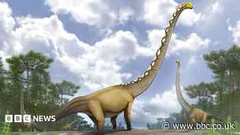 New dinosaur species with neck as long as cricket pitch discovered in Thailand