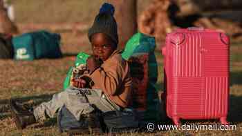South Africa was once hailed as a 'Rainbow Nation' - now it's being torn apart by 'Afrophobia' as black South Africans turn against illegal migrants from other African countries who they fear will take their jobs: SUE REID