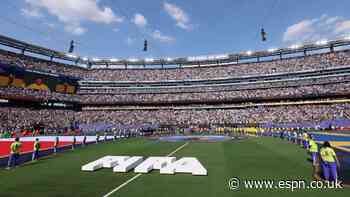 FIFA selling World Cup final pitch in £336 pieces