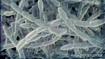 New York City takes emergency measures after 46 fall ill to Legionnaires' disease outbreak