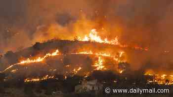 Wildfires tear through Europe amid sweltering heatwaves as dozens remain missing in Spain after deaths surged by nearly a third in France