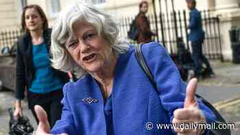 My darling pal Ann Widdecombe: He spoke to her the day before she died. Here, shocked and saddened beyond measure, ANDREW PIERCE recalls their brandy-soaked dinners - and how they pulled a fast one on David Cameron