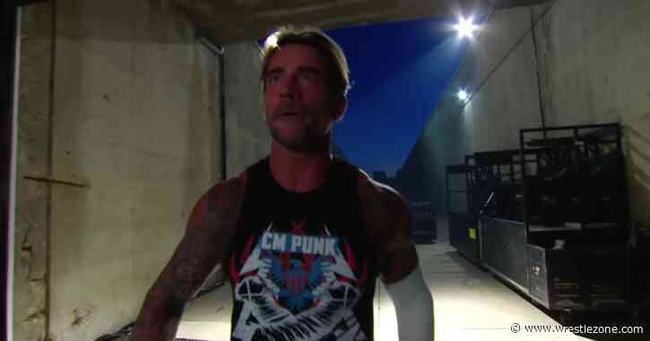 WWE Star Admits He Was in the Crowd as a Fan To Watch CM Punk’s Return