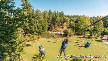 I fell out of love with Center Parcs - so I tried a budget alternative