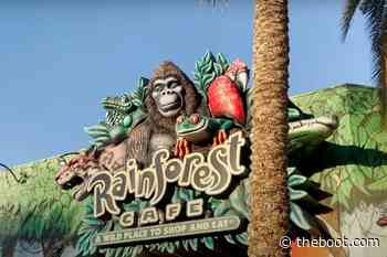 How Many Rainforest Cafes Are Left In The US