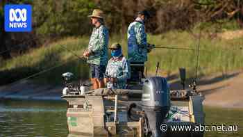 Crocs, sharks and an Aussie cricket legend: All the action from the Barra Classic