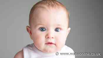 The most popular baby names in every part of Wales