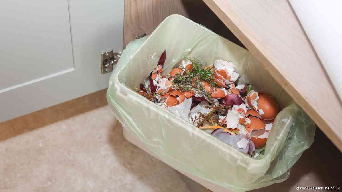 Common kitchen item could prevent bin juice and bad smells