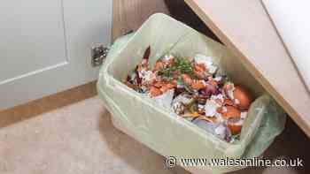 Common kitchen item could prevent bin juice and bad smells