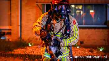 Brandweer redt katten bij felle brand in huis in Eindhoven