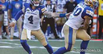 Newcomer Dru Brown leads Winnipeg Blue Bombers to 2nd straight win