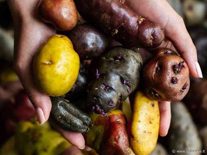 The World’s 50 Best Restaurants sbarca a Lima