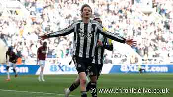 Newcastle United given £124m warning as Nick Woltemade exit talk scoffed at by lethal marksman